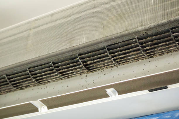 Best Home Air Vent Cleaning  in Umatilla, FL